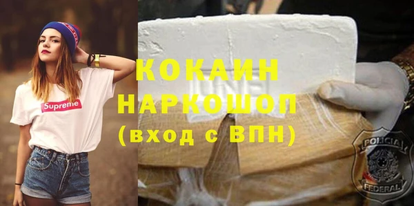 твердый Новодвинск