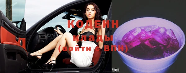 твердый Новодвинск