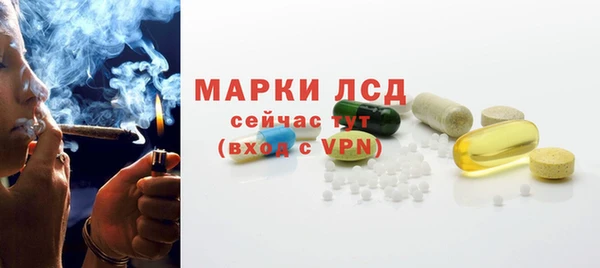 твердый Новодвинск