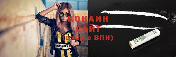 твердый Новодвинск