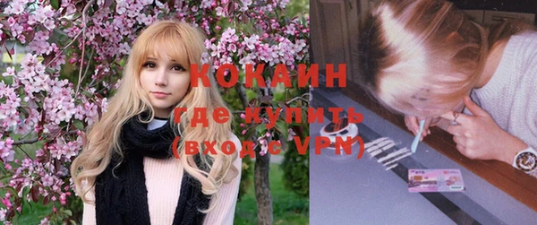 скорость Новозыбков