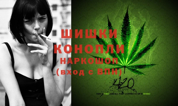 твердый Новодвинск