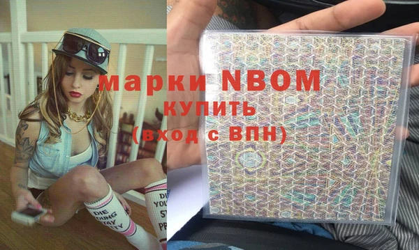 твердый Новодвинск