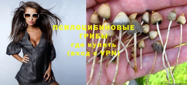 твердый Новодвинск