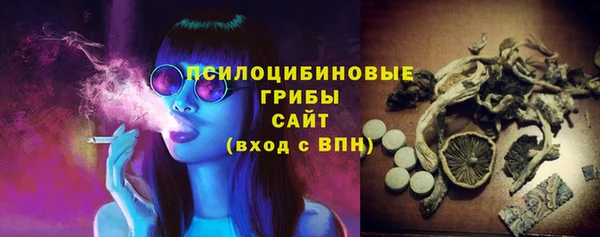 твердый Новодвинск